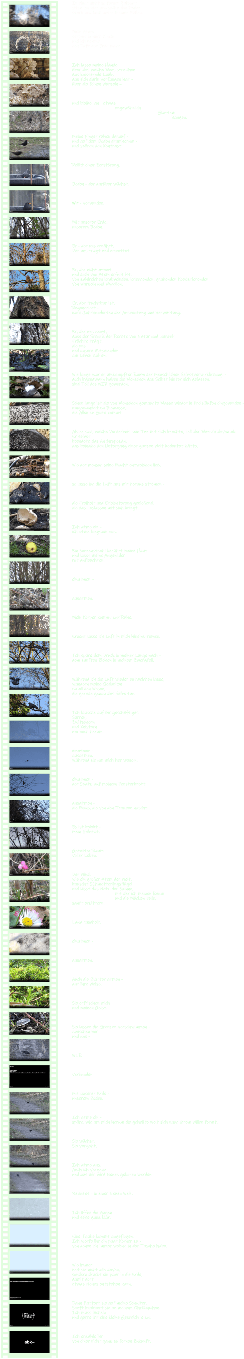 Spectacular Tentacular